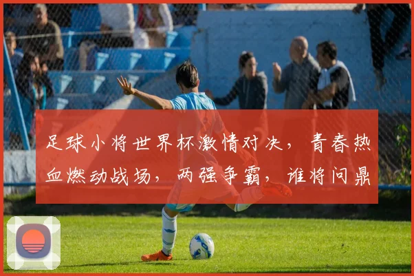 足球小将世界杯激情对决，青春热血燃动战场，两强争霸，谁将问鼎冠军