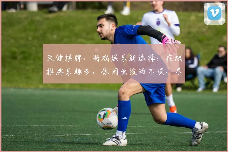 天健棋牌，游戏娱乐新选择，在线棋牌乐趣多，休闲竞技两不误，尽在天健棋牌平台