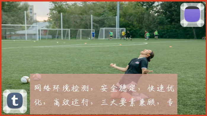 网络环境检测，安全稳定，快速优化，高效运行，三大要素兼顾，专业保障