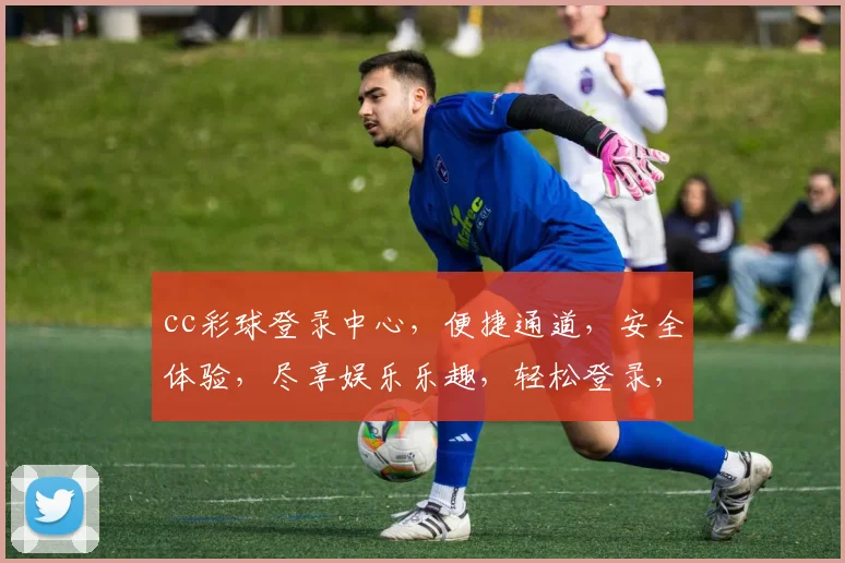 cc彩球登录中心，便捷通道，安全体验，尽享娱乐乐趣，轻松登录，畅玩无忧